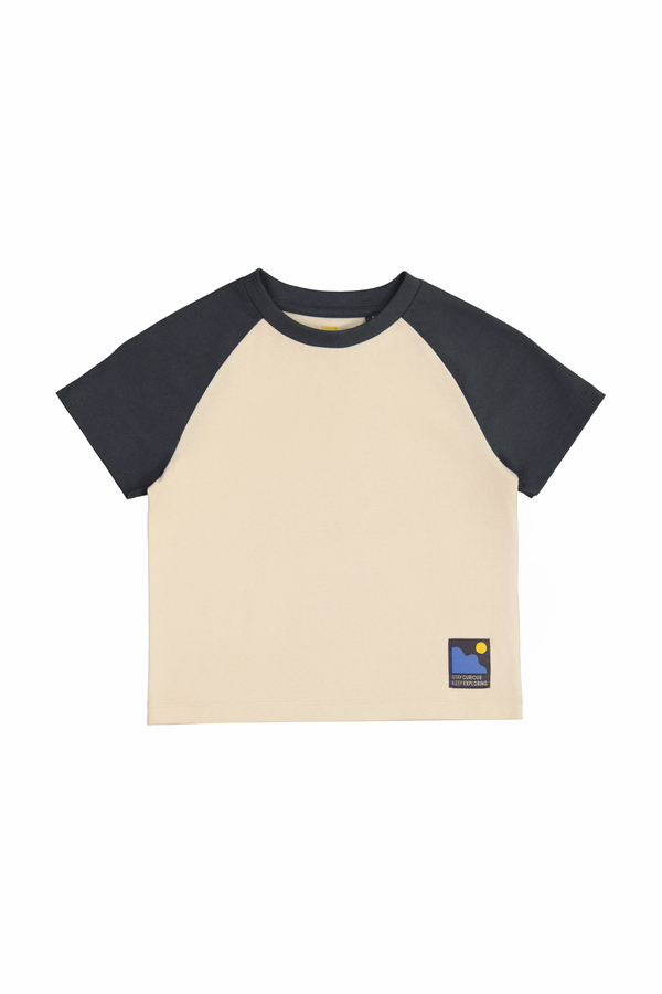 Boys 100% Cotton Short Sleeve T-Shirt