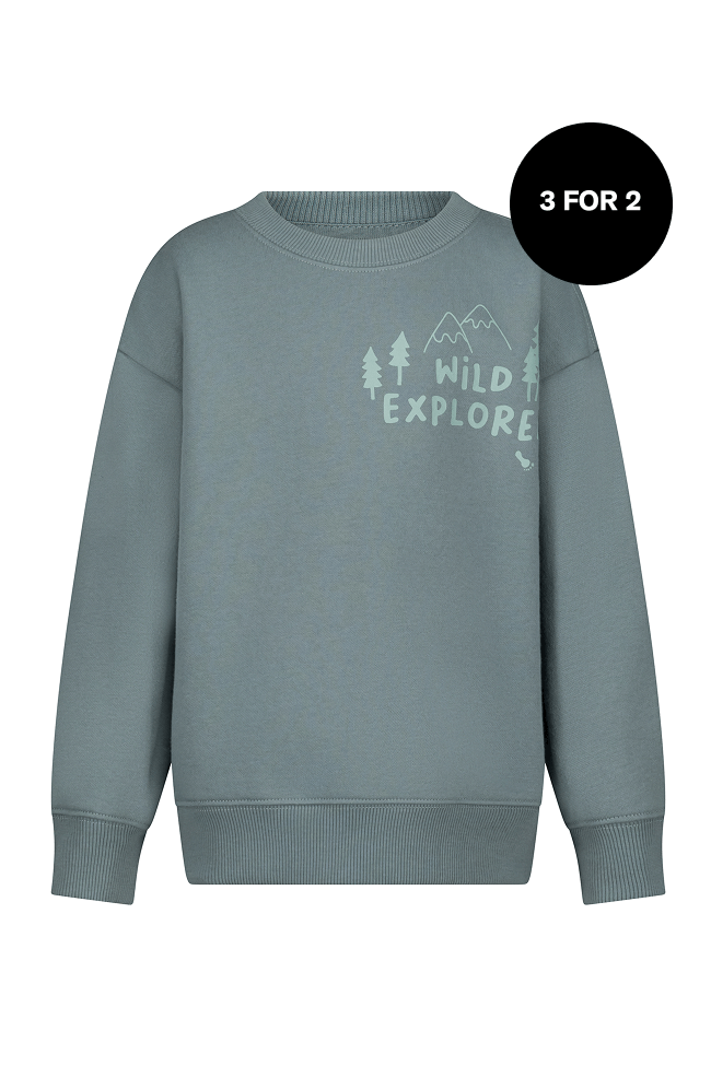boys-brushed-fleece-sweatshirt-print
