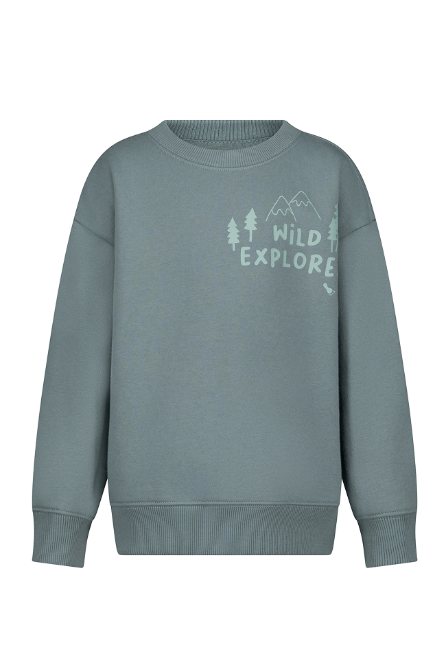 boys-brushed-fleece-sweatshirt-print
